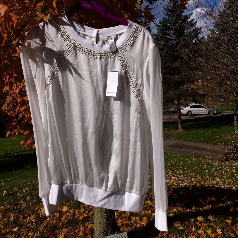 Sheer Top